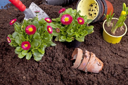 Gardener applying health and safety practices in a garden