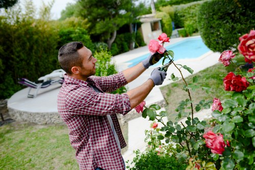 Gardeners in Raynes Park maintaining a healthy and attractive local garden