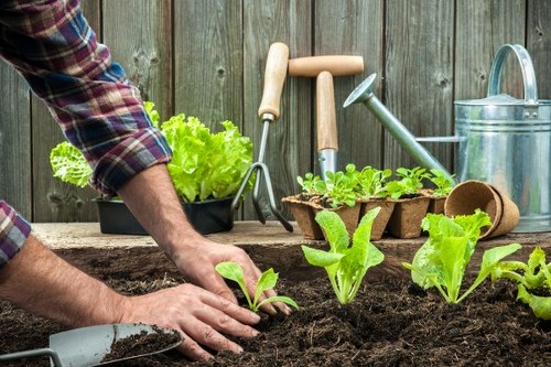 Professional complaints management for garden service concerns