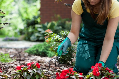 Local garden service pricing with cubic-yard rates in Raynes Park