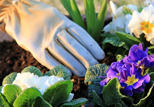Seasonal lawn maintenance for a tidy garden in Raynes Park