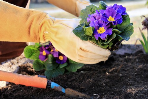 Weather-aware gardening work with proper precautions