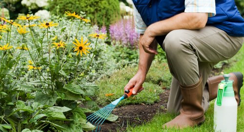 Raynes Park garden planting and seasonal care by professional gardeners