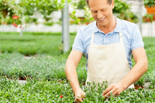 Seasonal garden maintenance in Raynes Park