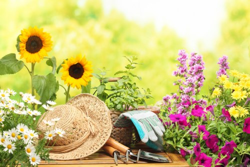 Professional Gardeners Raynes Park creating a beautiful outdoor space