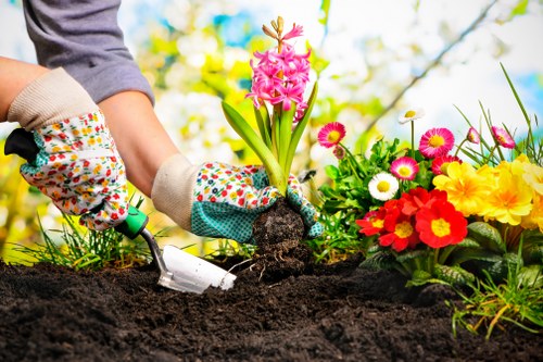 Supplier audit process for ethical gardening services