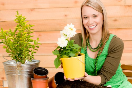 Seasonal hedge maintenance in a Raynes Park property