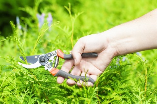 Customer concern review for gardening work and service issues