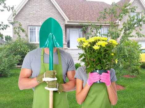 Soft landscaping and garden improvement in Raynes Park